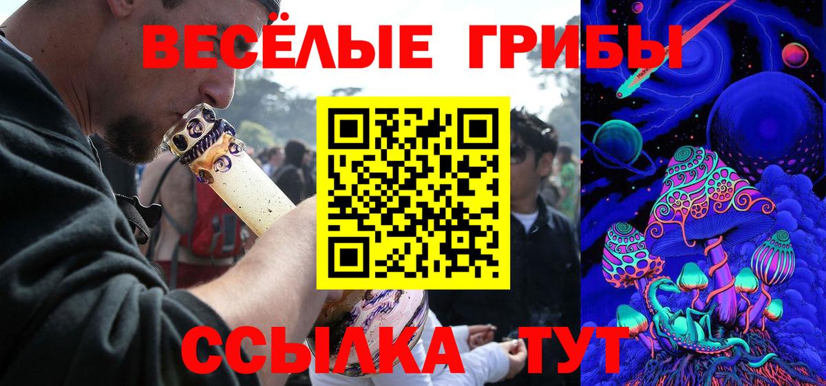 Галлюциногенные грибы мицелий  Псилоцибиновые грибы прущие грибы  Мичуринск  как найти   Вход с VPN 